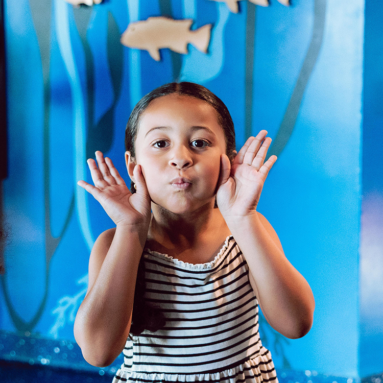 Greenlight Hero Image